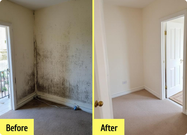 Mould Removal