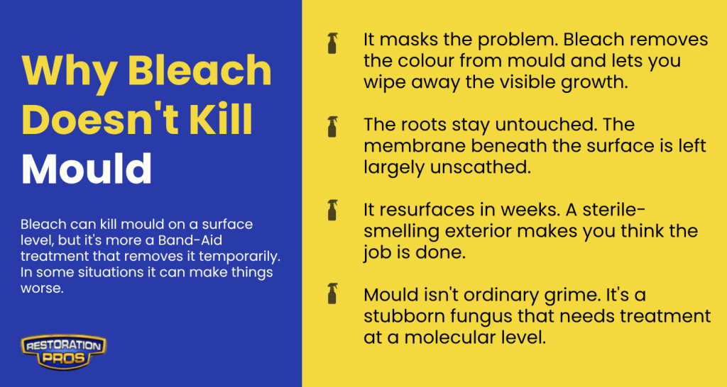 Why Bleach Doesn't Kill Mould