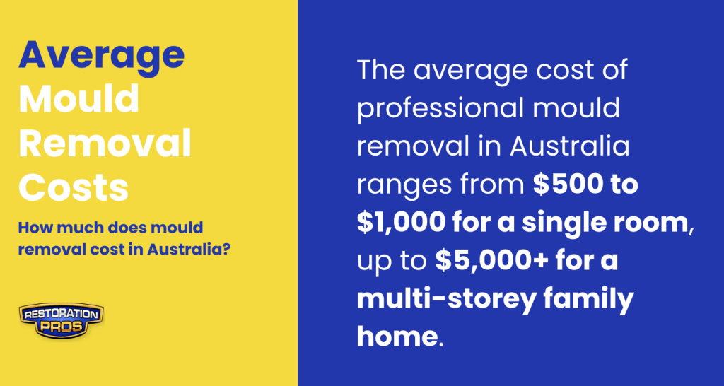 Average Mould Removal Costs