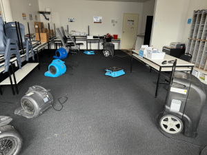 Carpet Cleaning Image