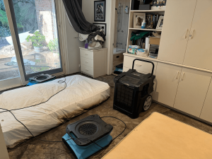 Carpet Drying For Water Damage