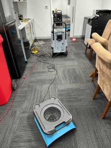 Carpet Drying From Water Damage Image