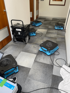 Carpet Repair From Flood Damage Image