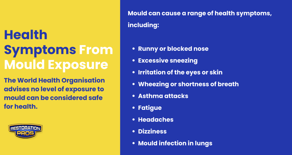 health associated symptoms from mould in house