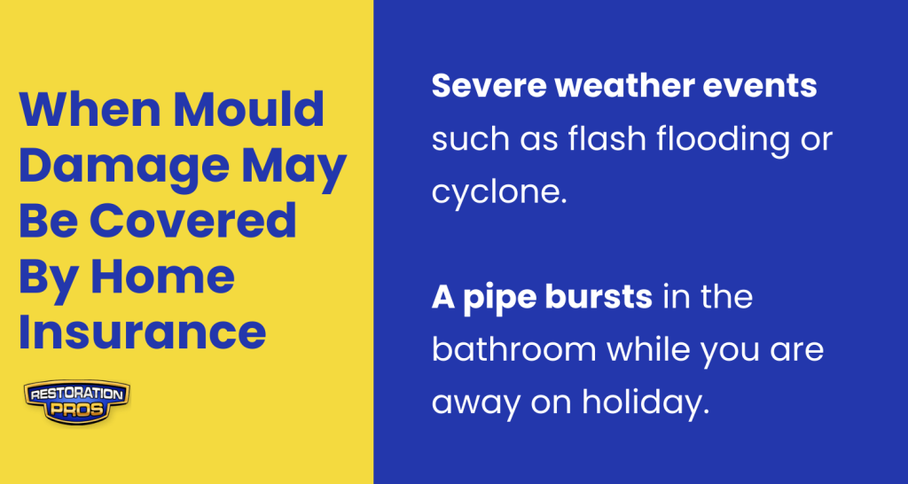infographic for mould damage coverage