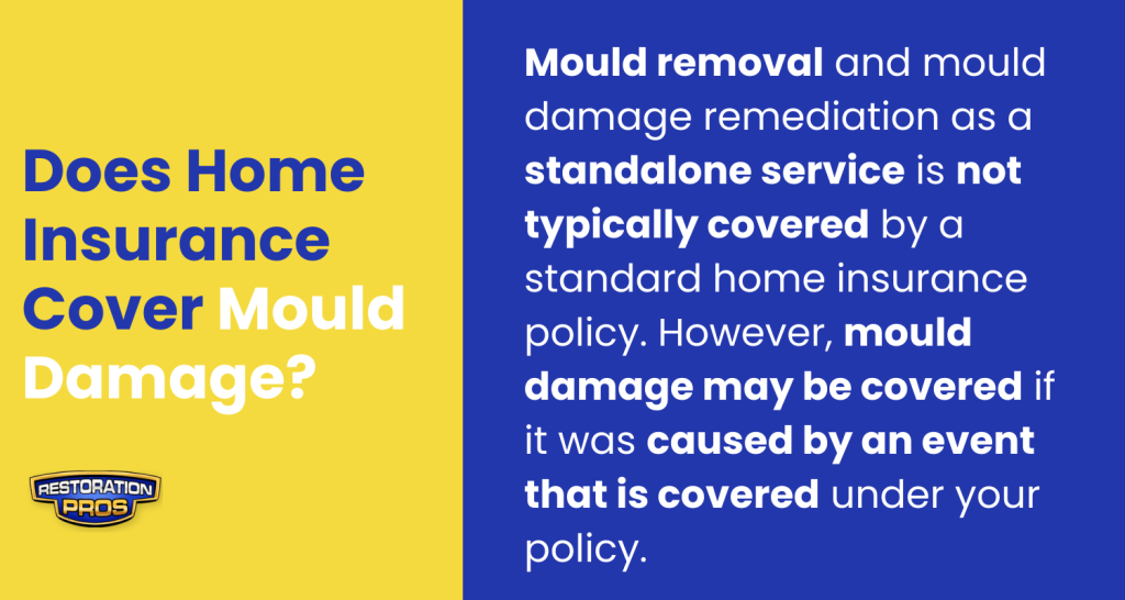 infographic about home insurance coverage for mould damage