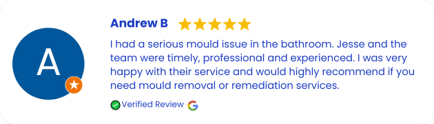 Mould Removal and Remediation Services Review