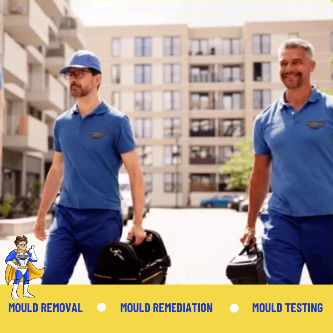 Mould Removal Sydney