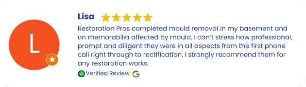 Mould Removal and Remediation Services Review Bondi