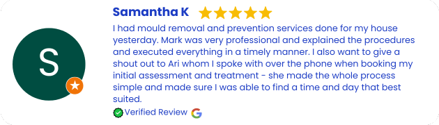 Mould Removal and Remediation Services Review Castle Hill