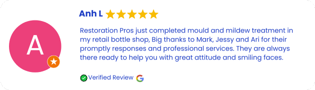 Mould Removal and Remediation Services Review Concord West