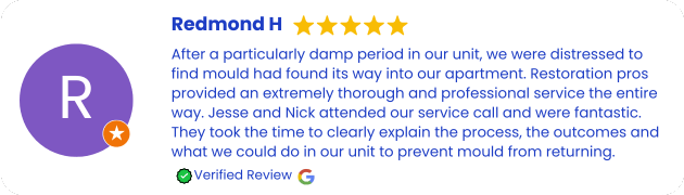 Mould Removal and Remediation Services Review Eastern Suburbs