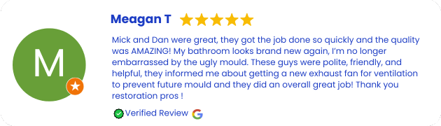 Mould Removal and Remediation Services Review Hornsby