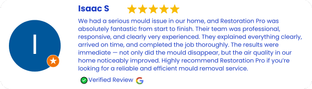 Mould Removal and Remediation Services Review Inner West