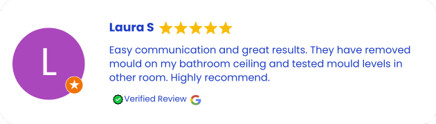Mould Removal and Remediation Services Review