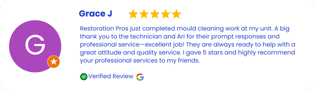 Mould Removal and Remediation Services Review Manly