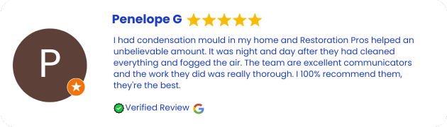 Mould Removal and Remediation Services Review Millers Point