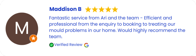 Mould Removal and Remediation Services Review Northern Beaches