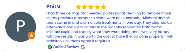 Mould Removal and Remediation Services Review Summer Hill