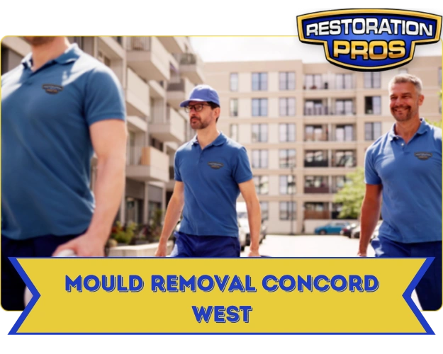 Mould Removal and Remediation Services Concord West
