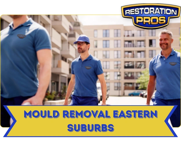 Mould Removal and Remediation Services Eastern Suburbs