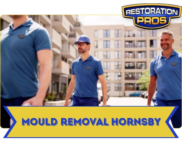 Mould Removal and Remediation Services Hornsby