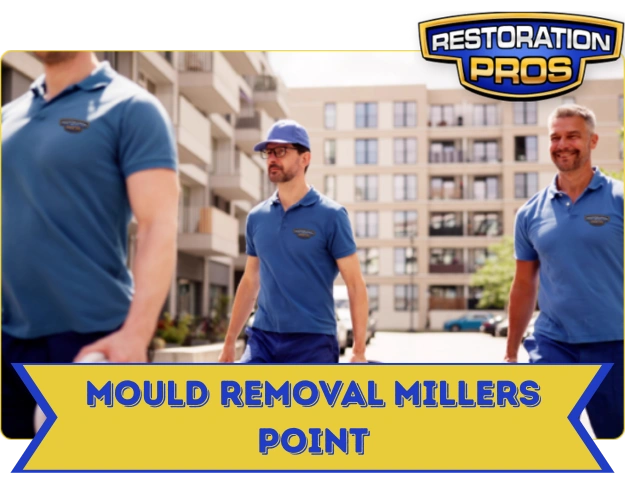 Mould Removal and Remediation Services Millers Point
