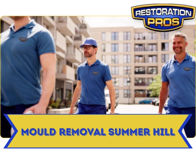 Mould Removal and Remediation Services Summer Hill