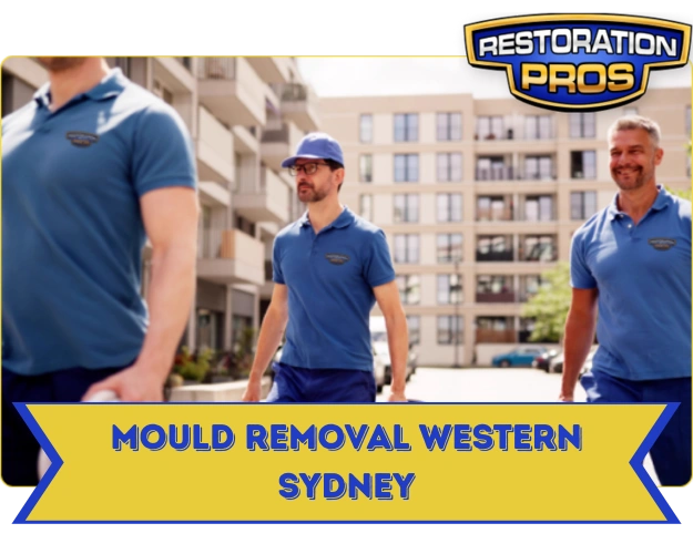 Mould Removal and Remediation Services Western Sydney