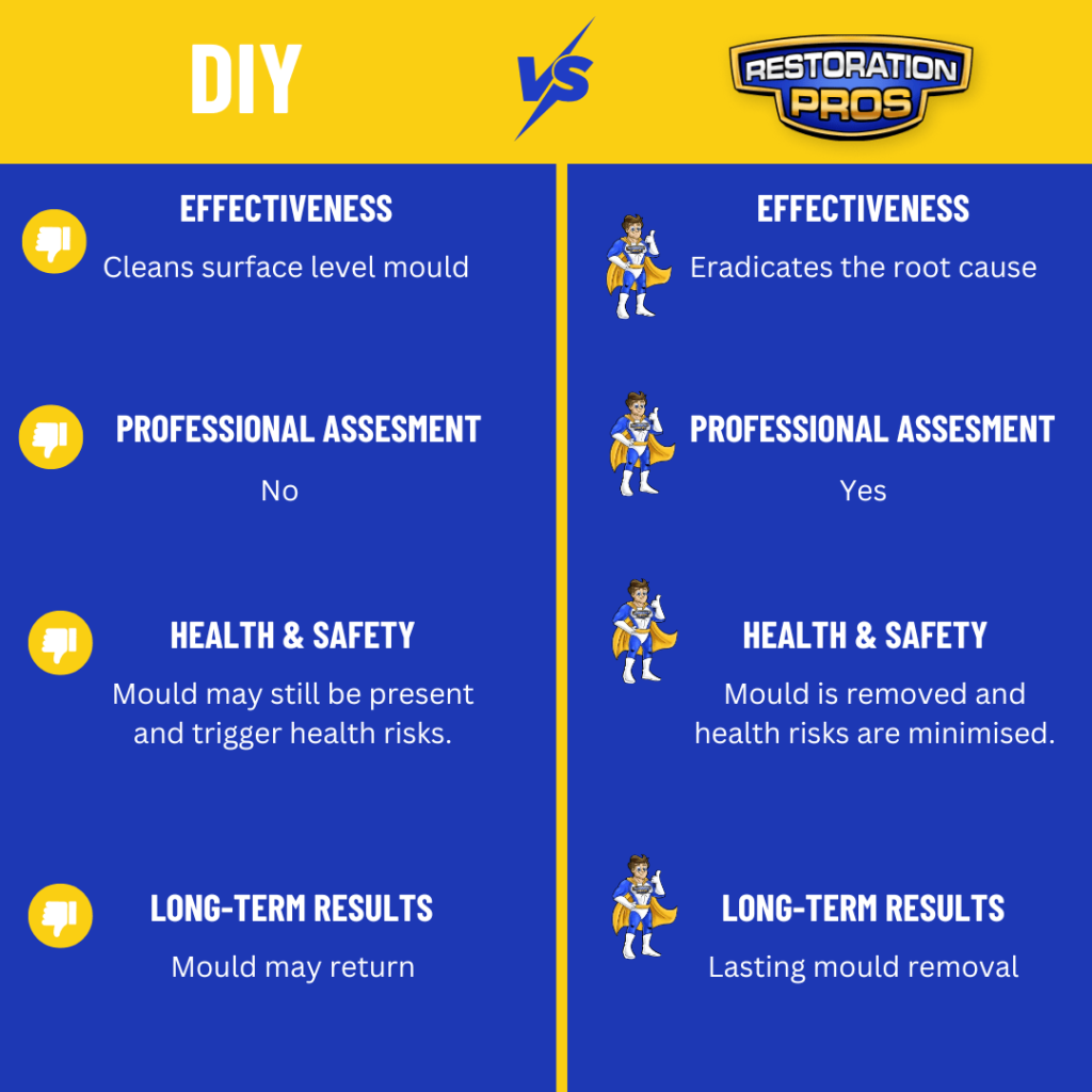 Benefits of Professional Mould Removal Sydney