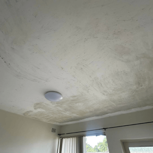 restoration-pros-mould-image-13