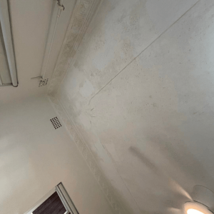restoration-pros-mould-image-2