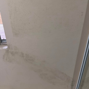restoration-pros-mould-image-6