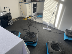 Water Damage Restoration and Repair